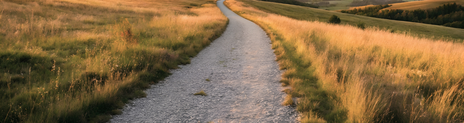 Schmaler Weg führt durch eine offene Landschaft in Richtung Horizont
