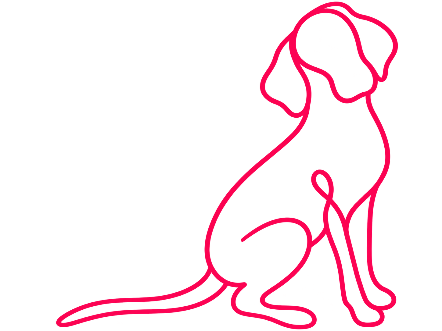 Workbook für Hundetrainer Preiskampf, ade - Wie Kunden gerne mehr für dein Training zahlen