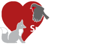 Logo Spiritangel