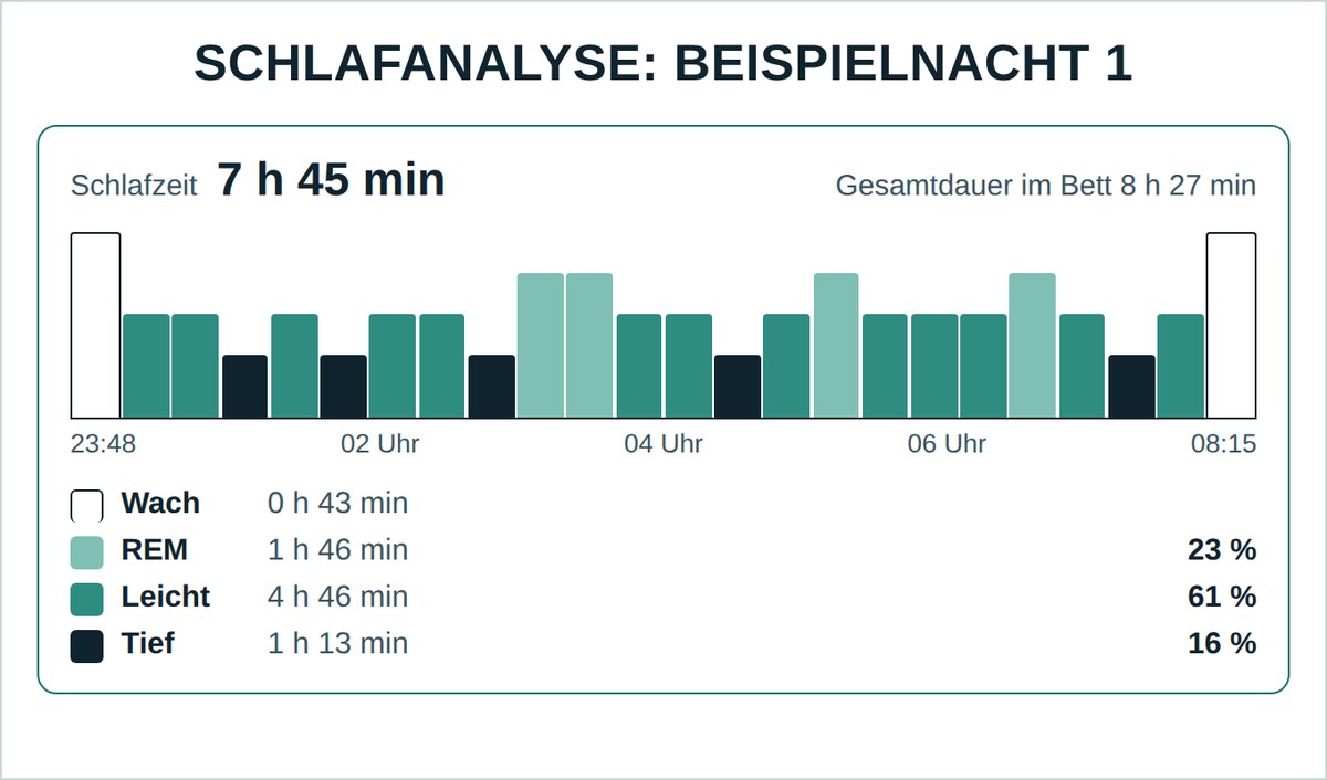 Auswertung einer Nacht mit Wach-, REM-, Leicht- und Tiefschlafphasen